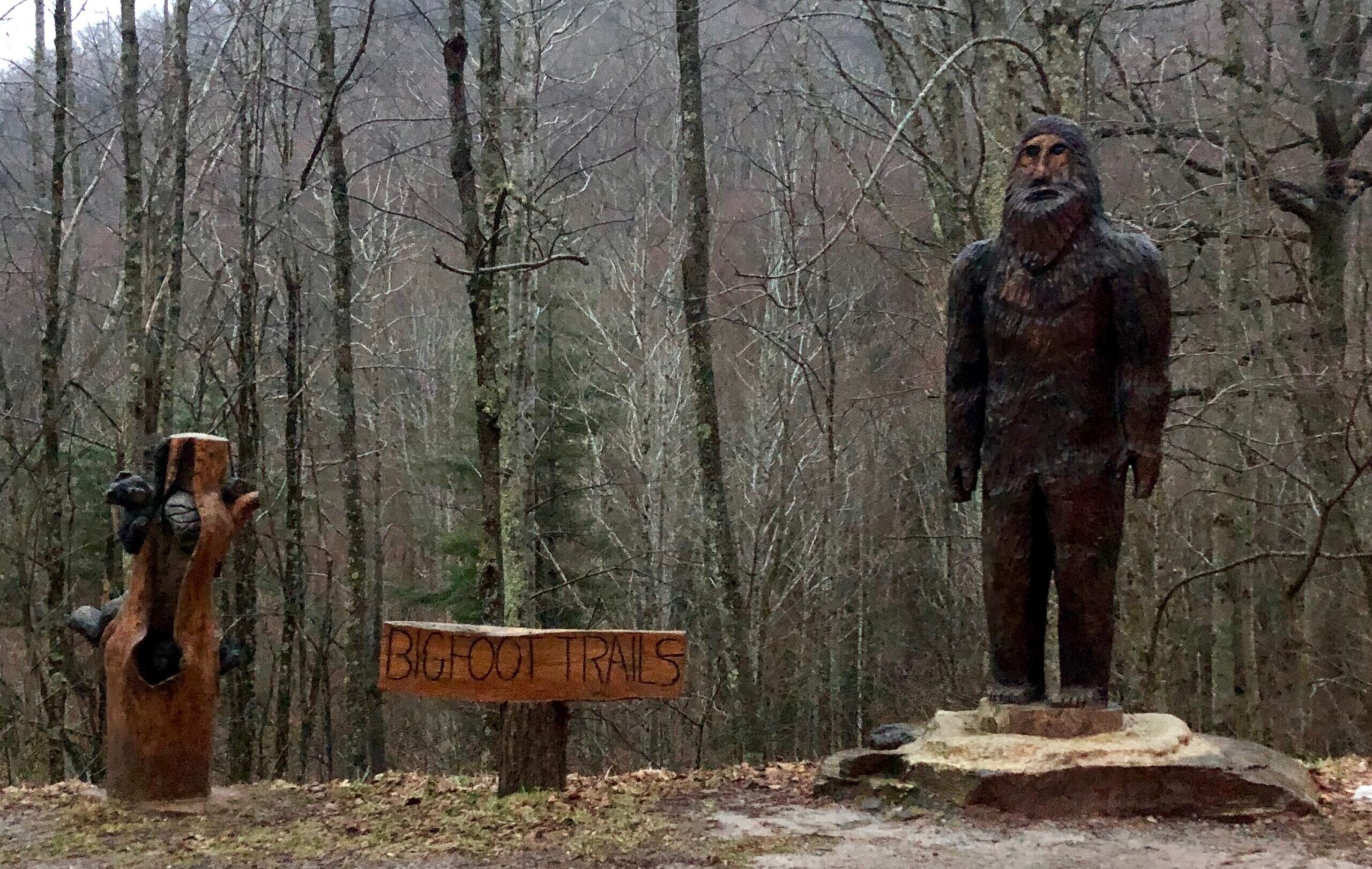 The Men Who Fought Bigfoot and Won